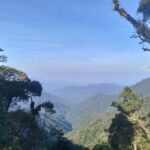 Taman Negara (12)