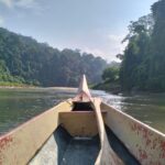 Taman Negara (2)